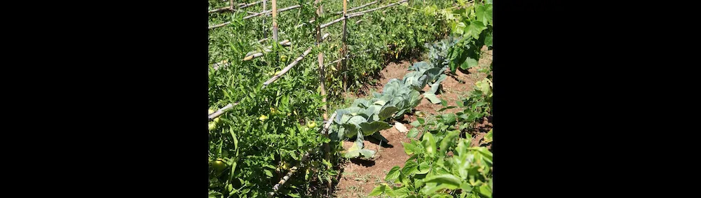 Les Residences De Scaglione