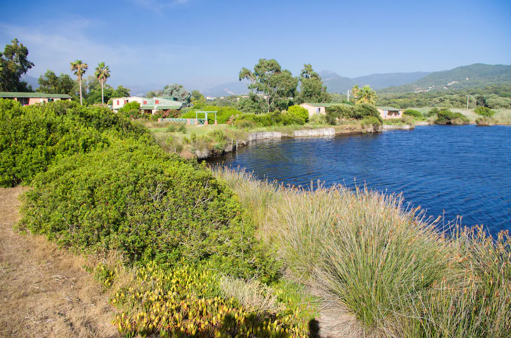 Residence Marina Di Capitello