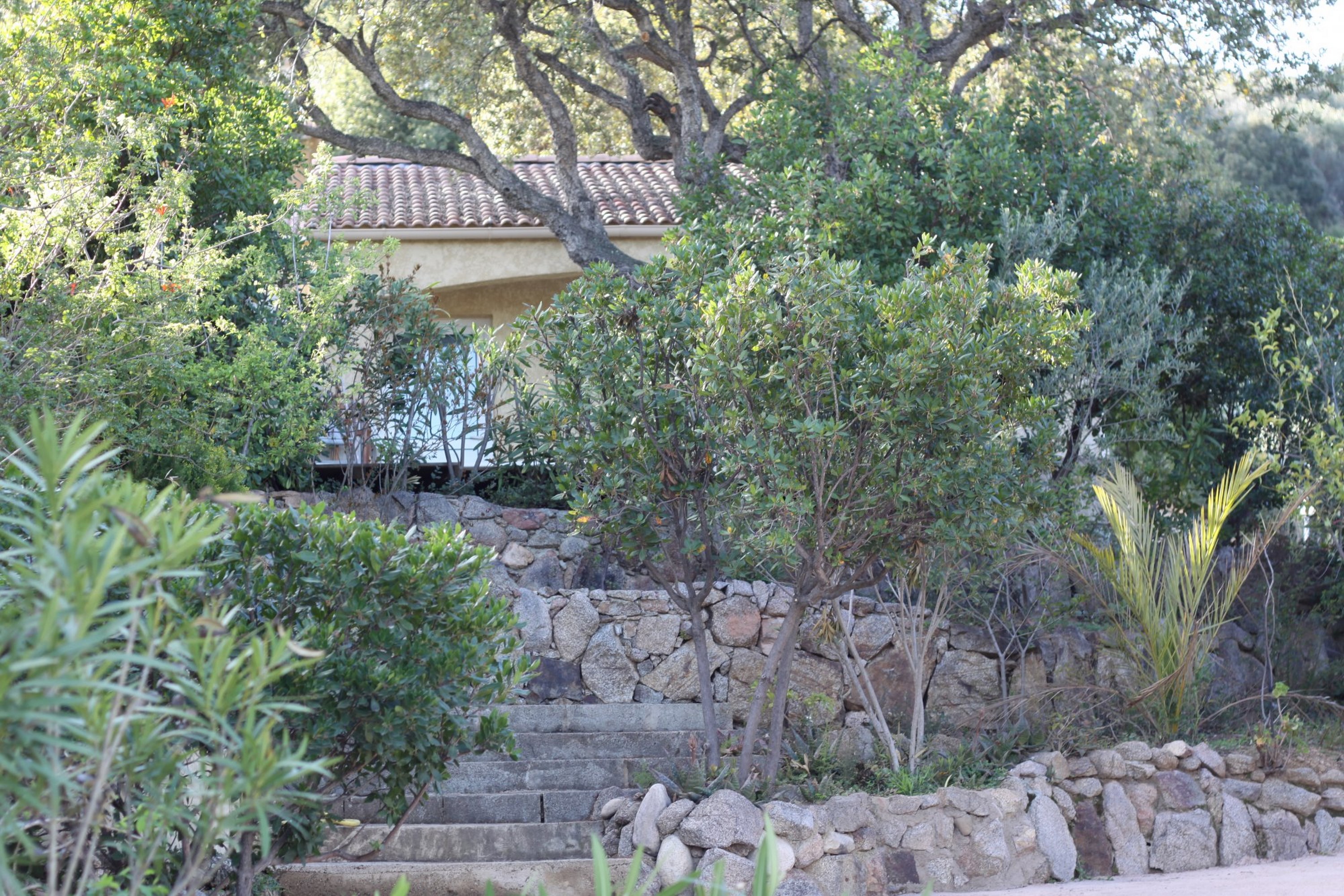 Adonis Porto Vecchio Residence Chiar Di Luna