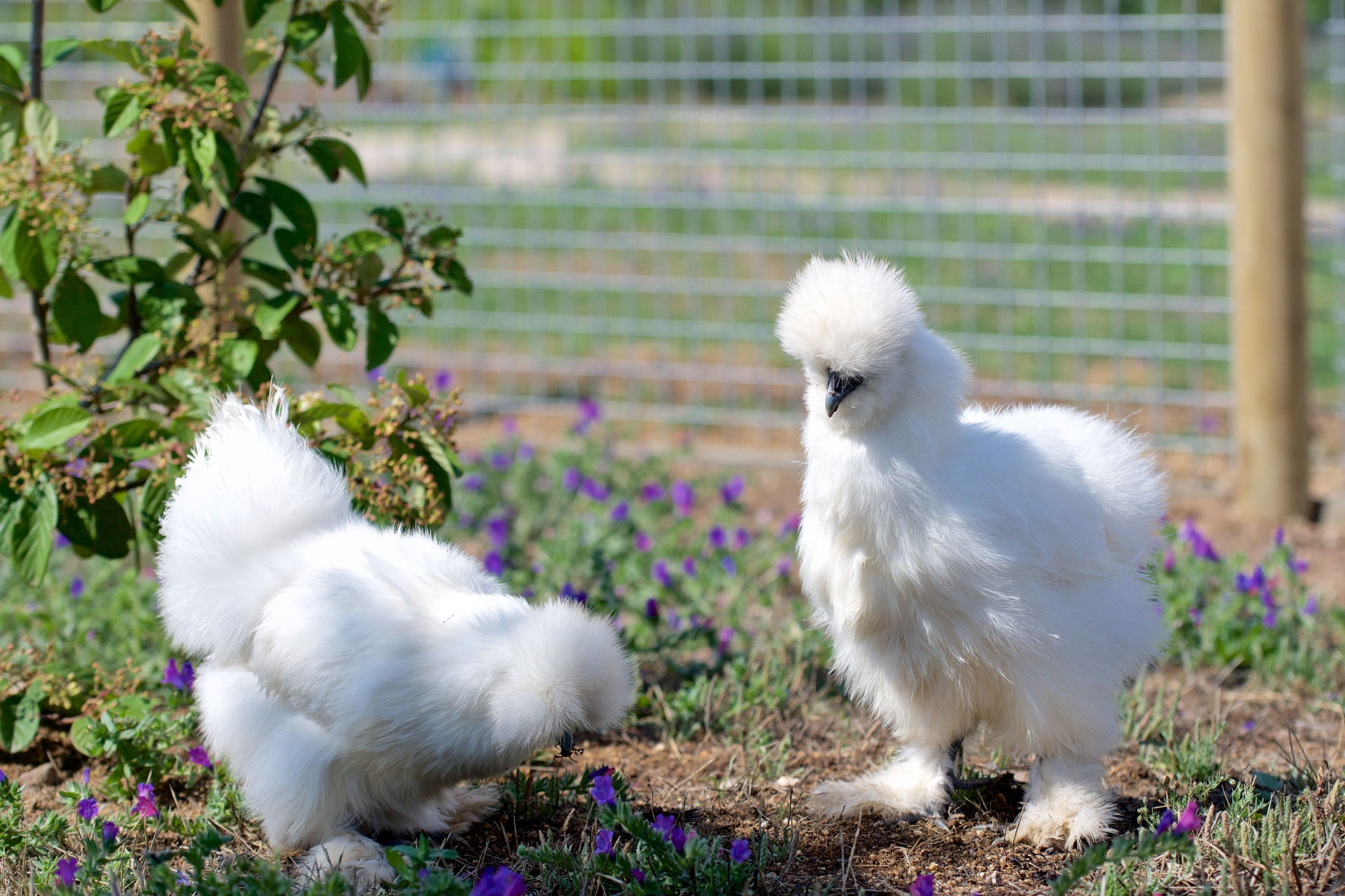 Grand Hotel Cala Rossa