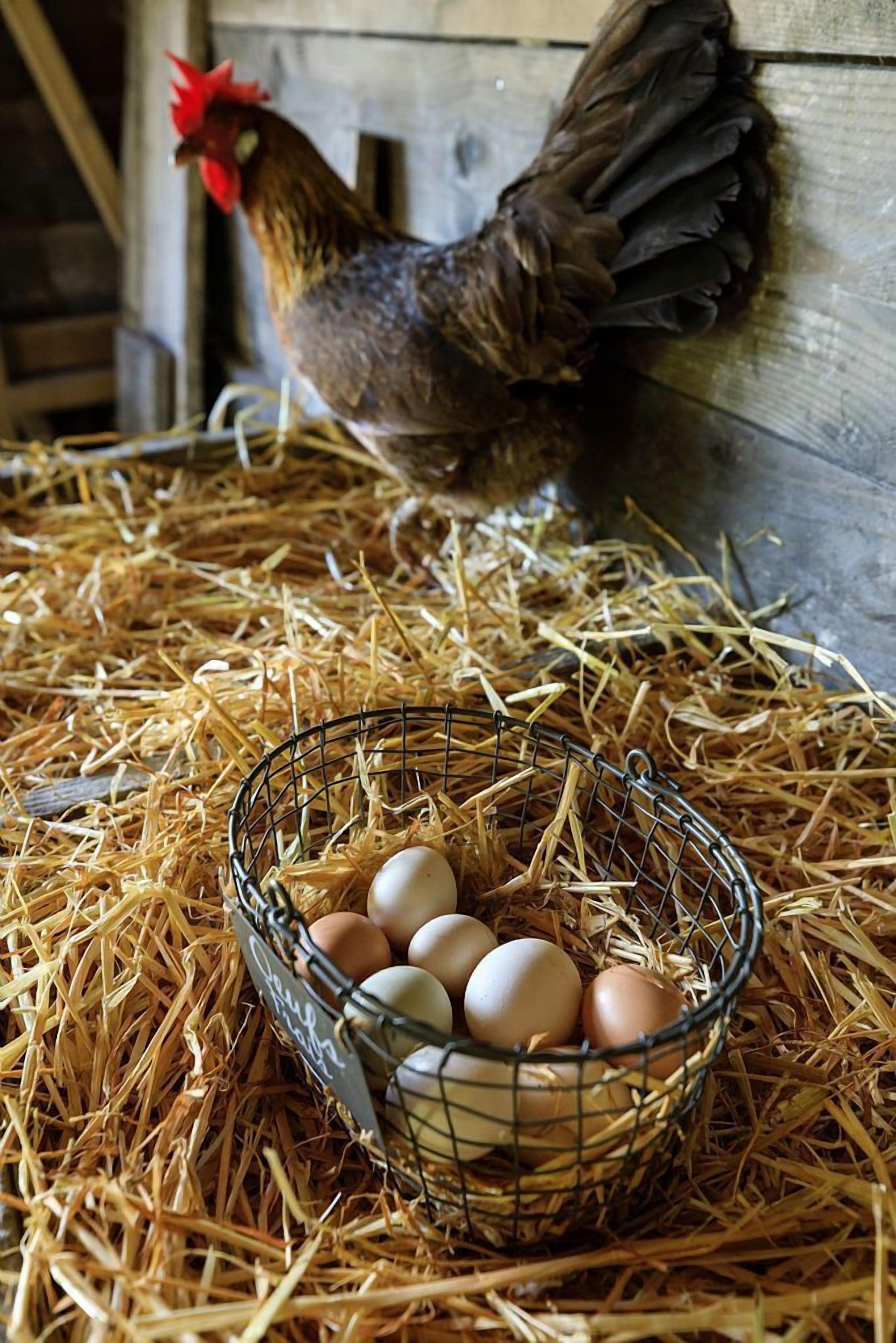 Grand Hotel Cala Rossa