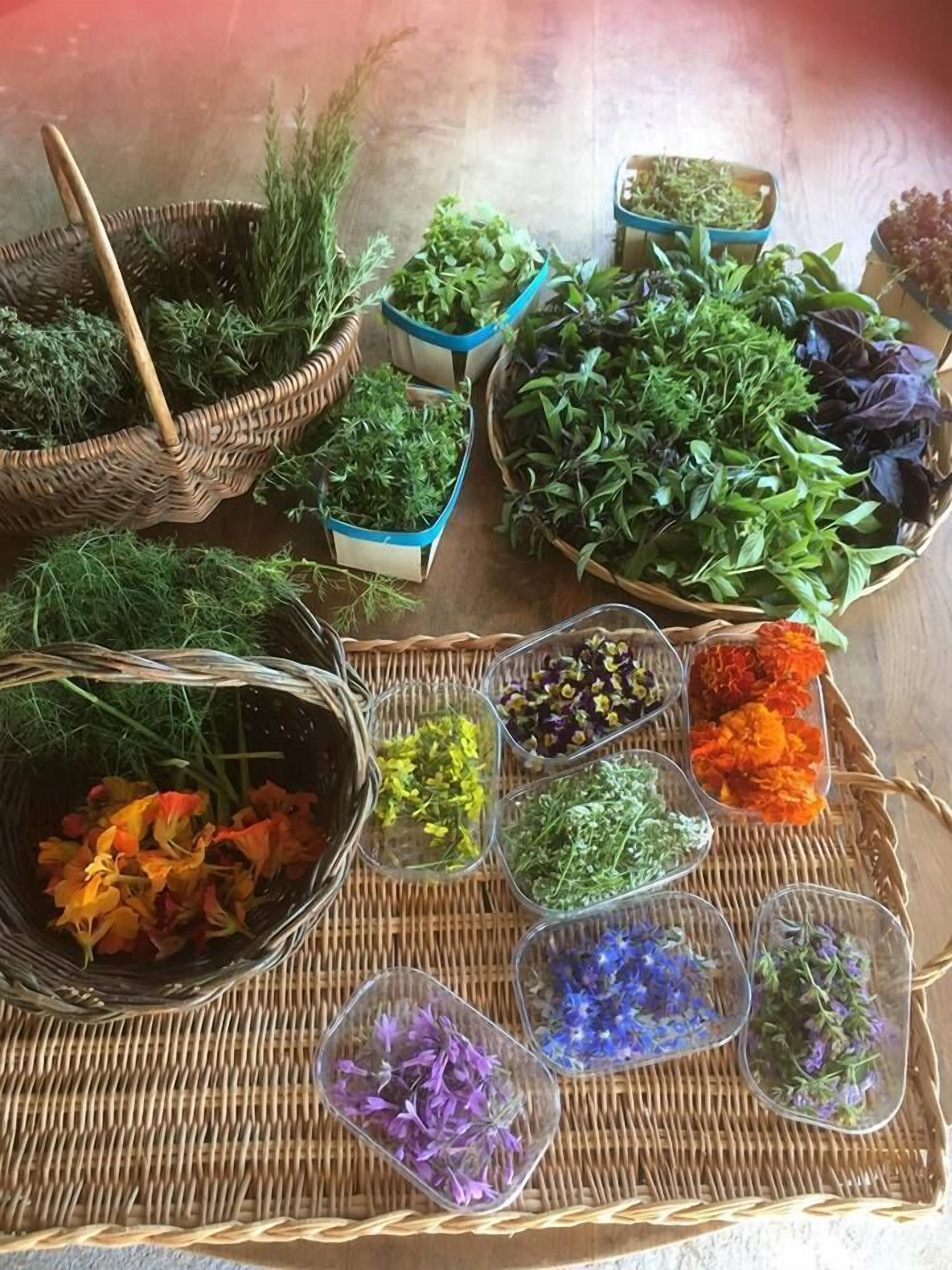 Grand Hotel Cala Rossa