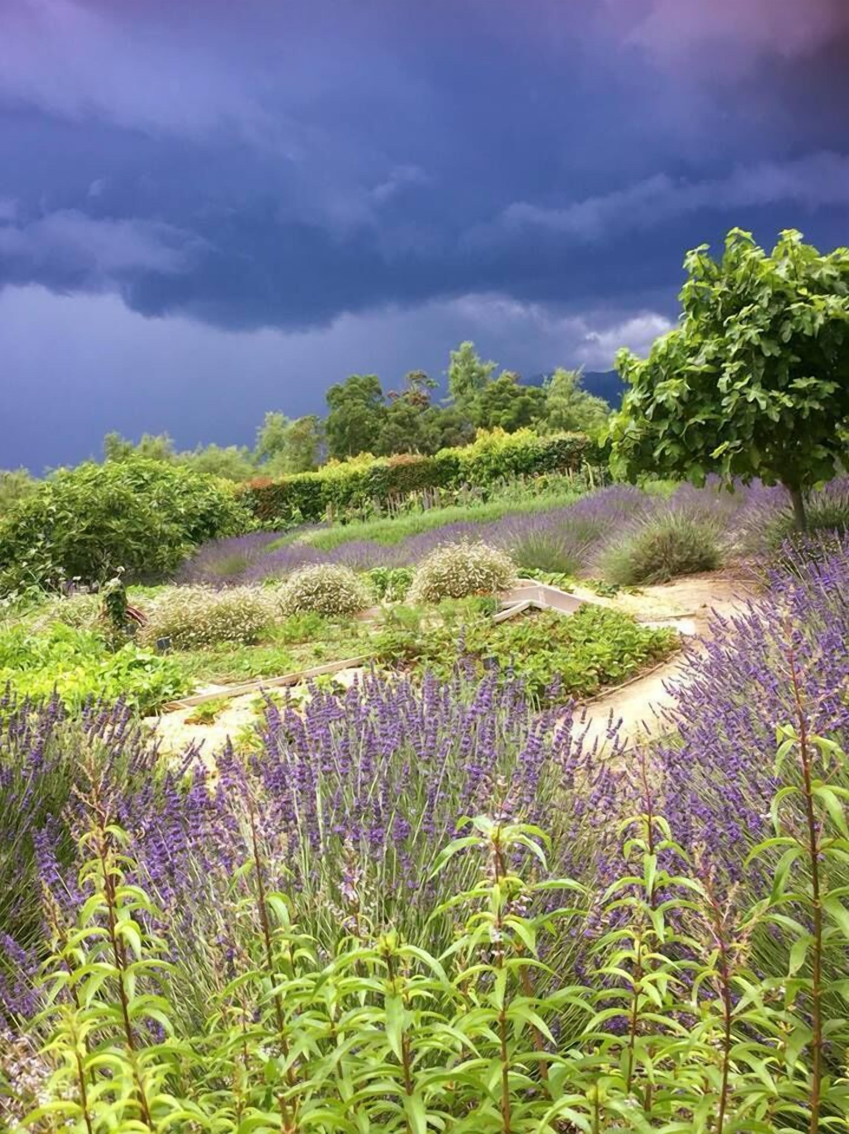 Grand Hotel Cala Rossa