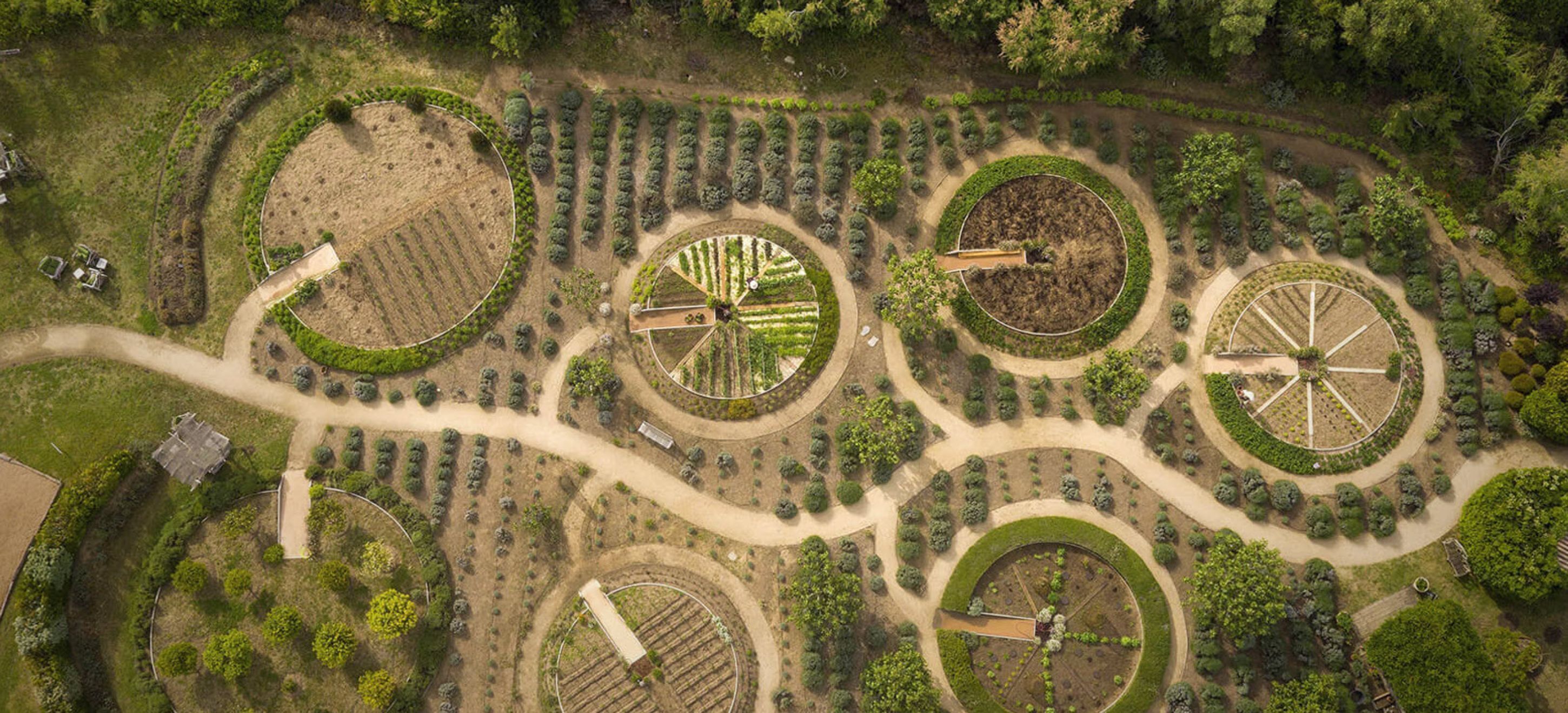 Grand Hotel Cala Rossa