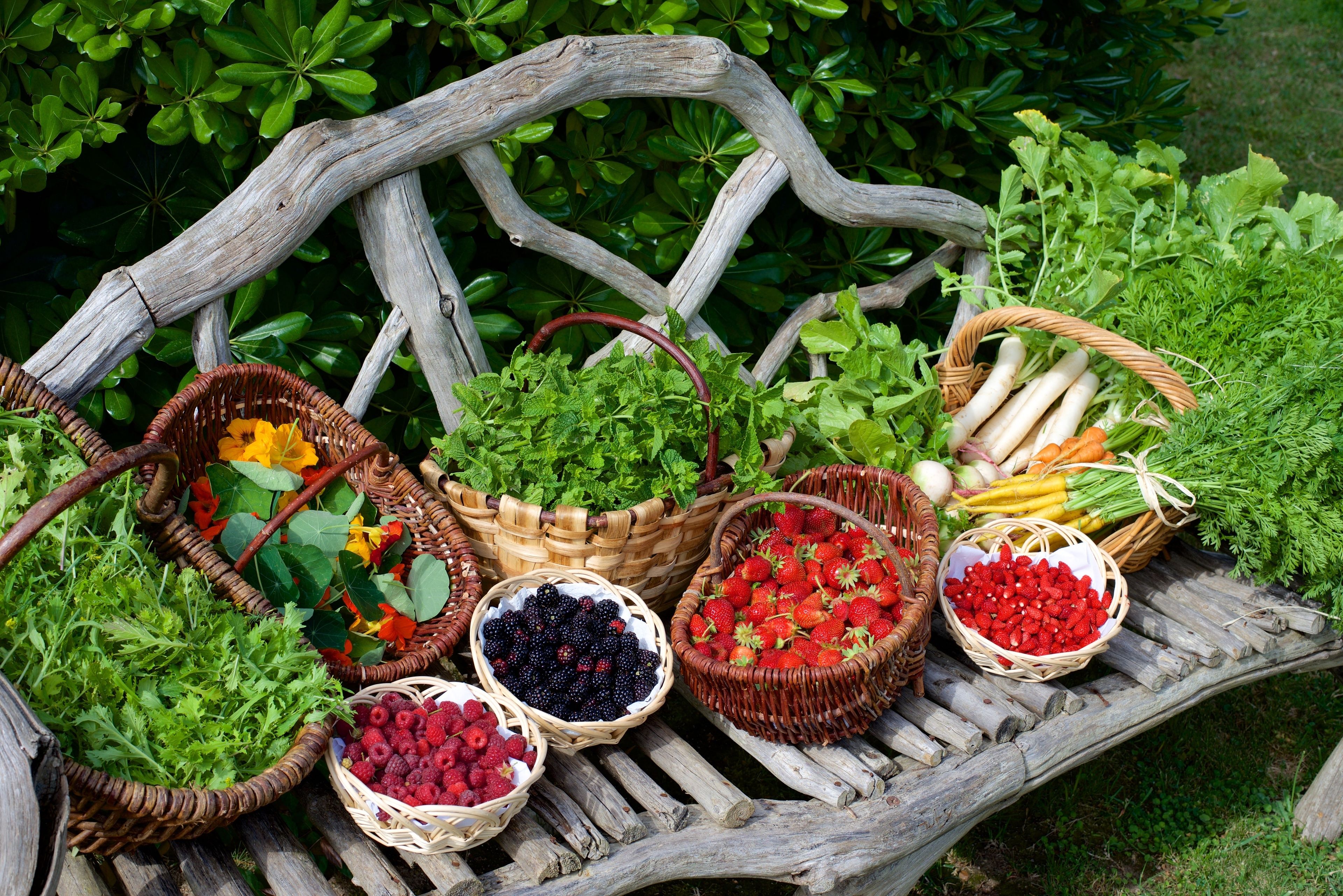 Grand Hotel Cala Rossa