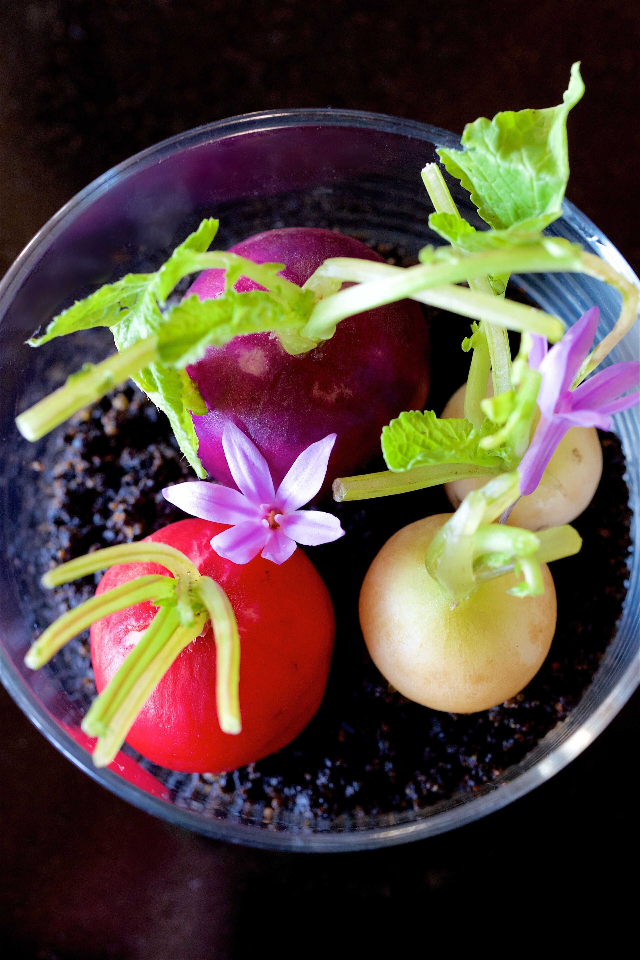 Grand Hotel Cala Rossa