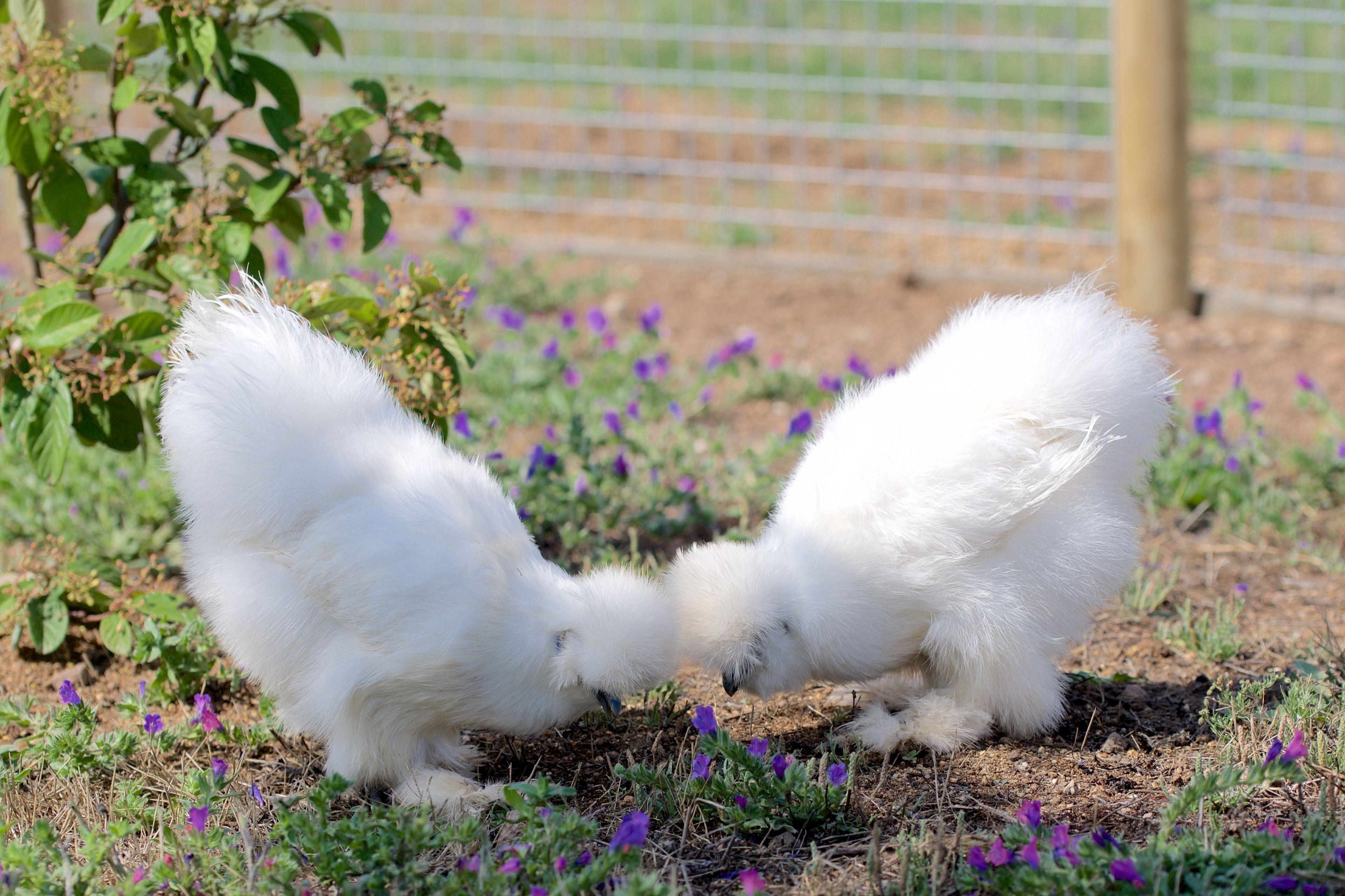 Grand Hotel Cala Rossa