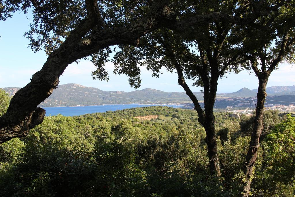 Hôtel Les Hauts De Porto-Vecchio
