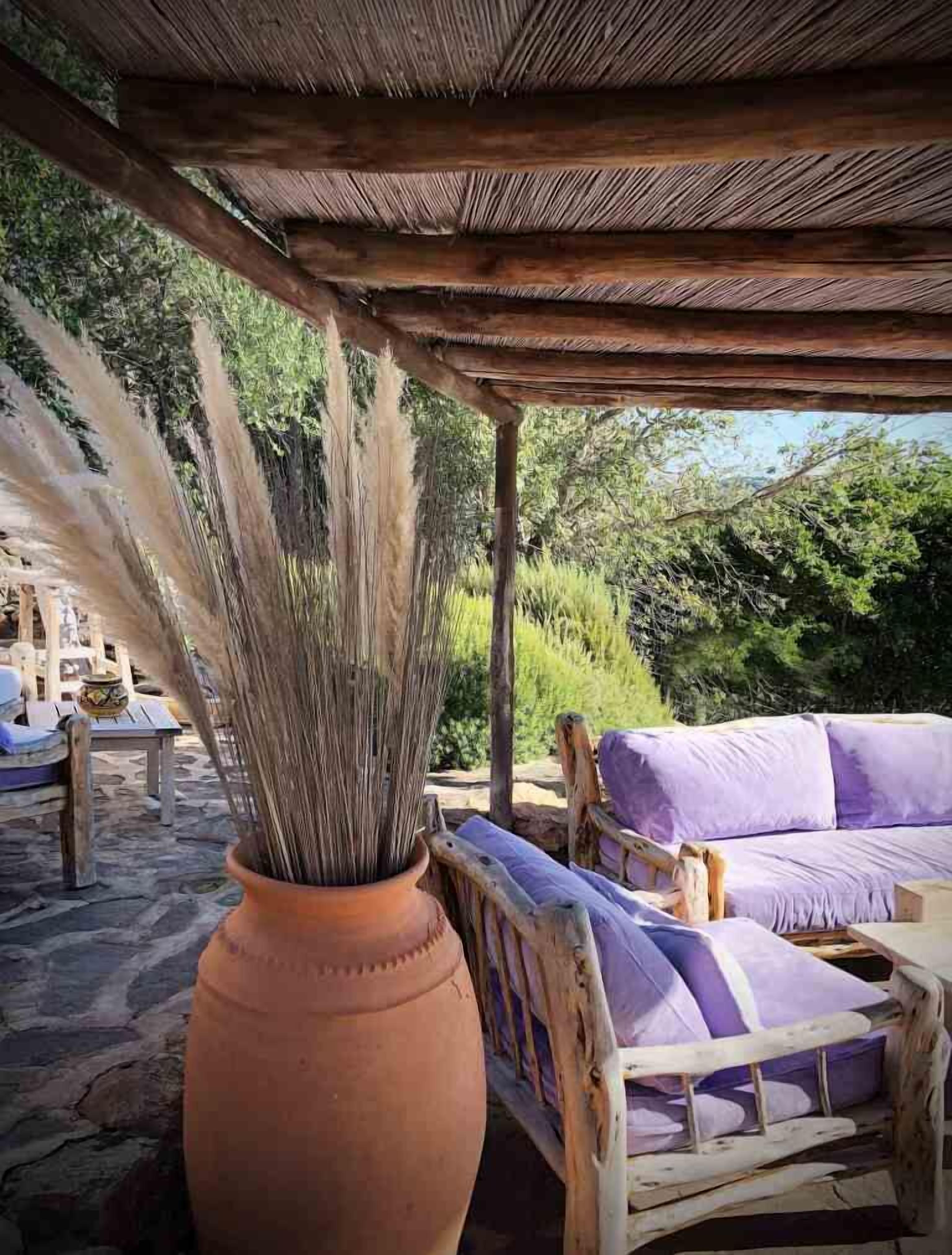 Les Oliviers de Palombaggia