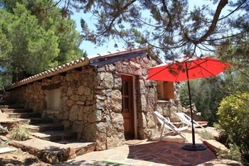 Les Oliviers de Palombaggia