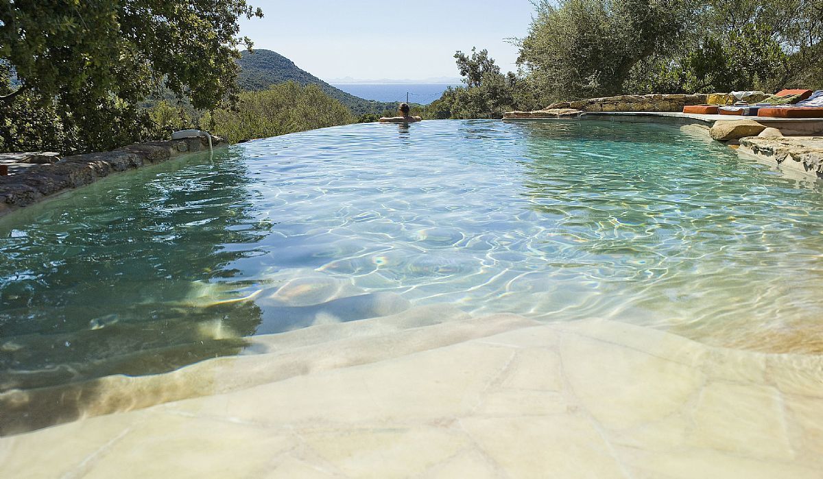 Les Oliviers de Palombaggia