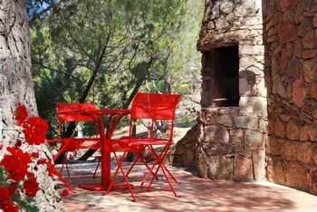 Les Oliviers de Palombaggia