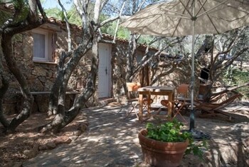 Les Oliviers de Palombaggia