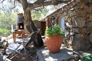 Les Oliviers de Palombaggia