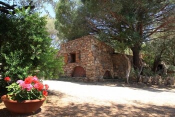 Les Oliviers de Palombaggia