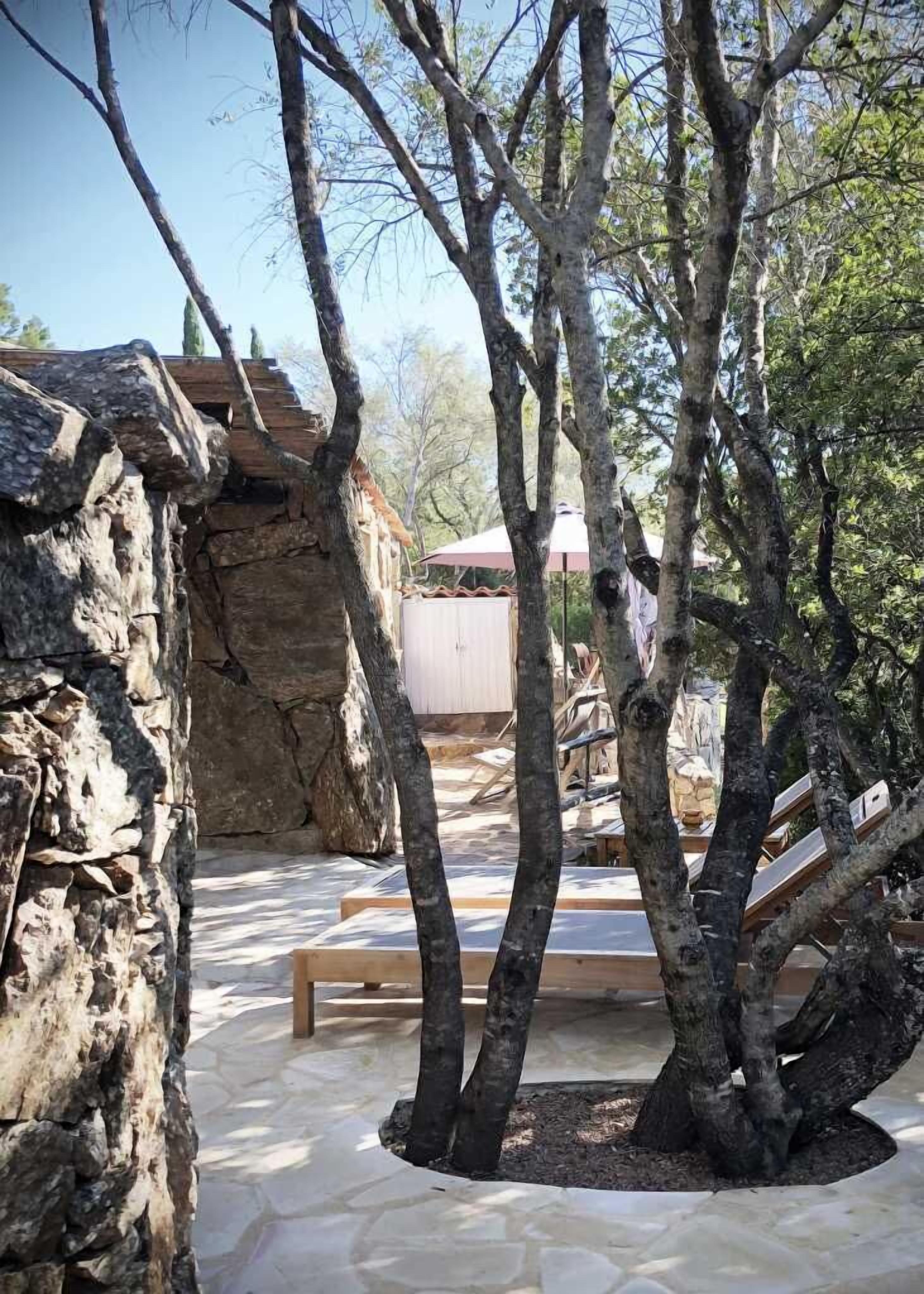 Les Oliviers de Palombaggia