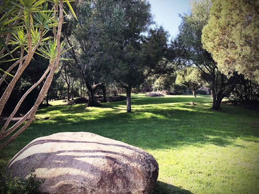 Les Oliviers de Palombaggia