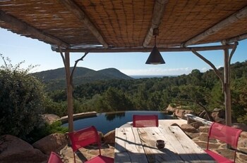 Les Oliviers de Palombaggia