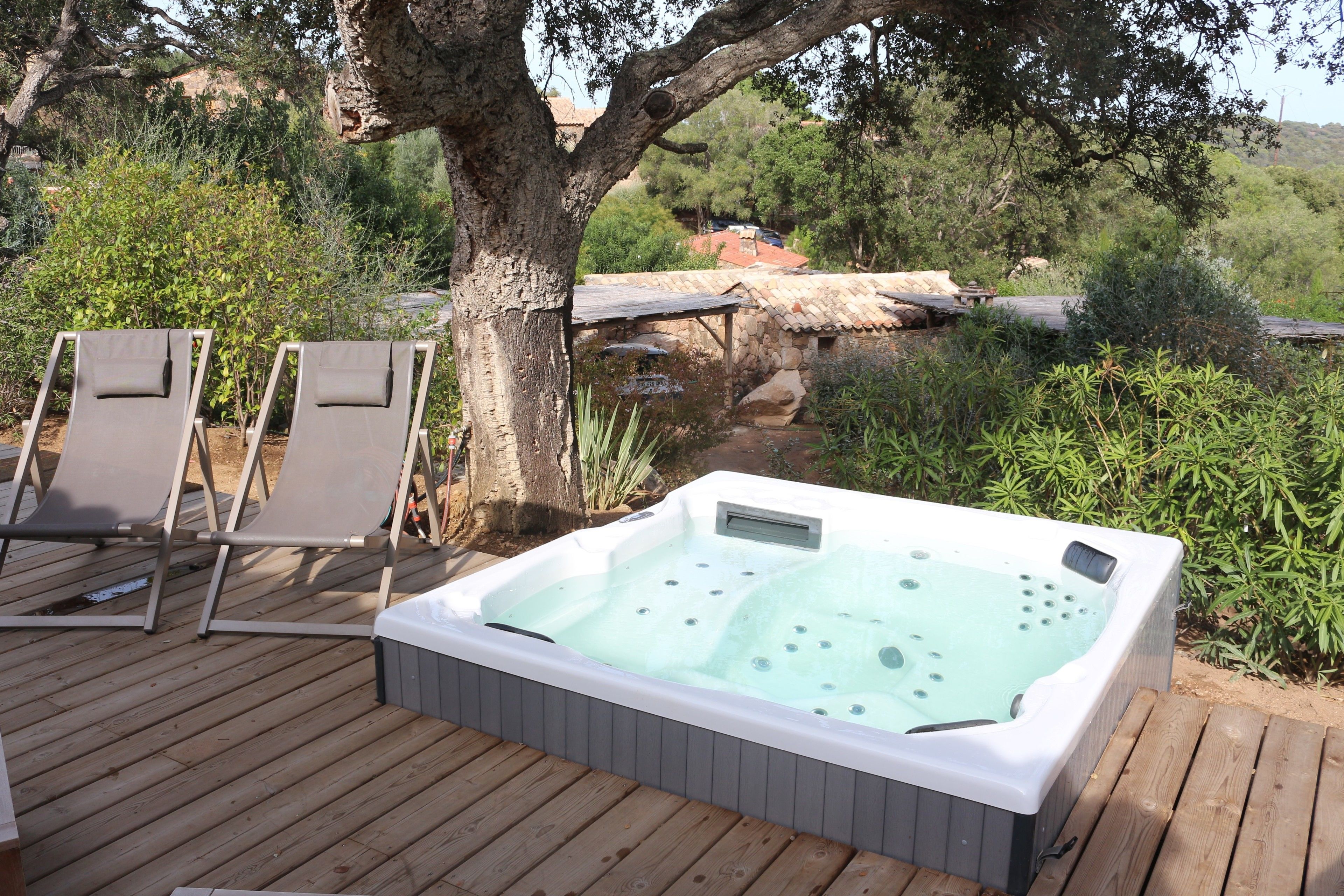 Les Oliviers de Palombaggia