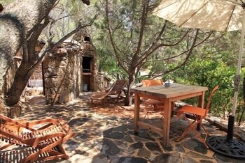 Les Oliviers de Palombaggia