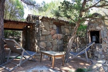 Les Oliviers de Palombaggia