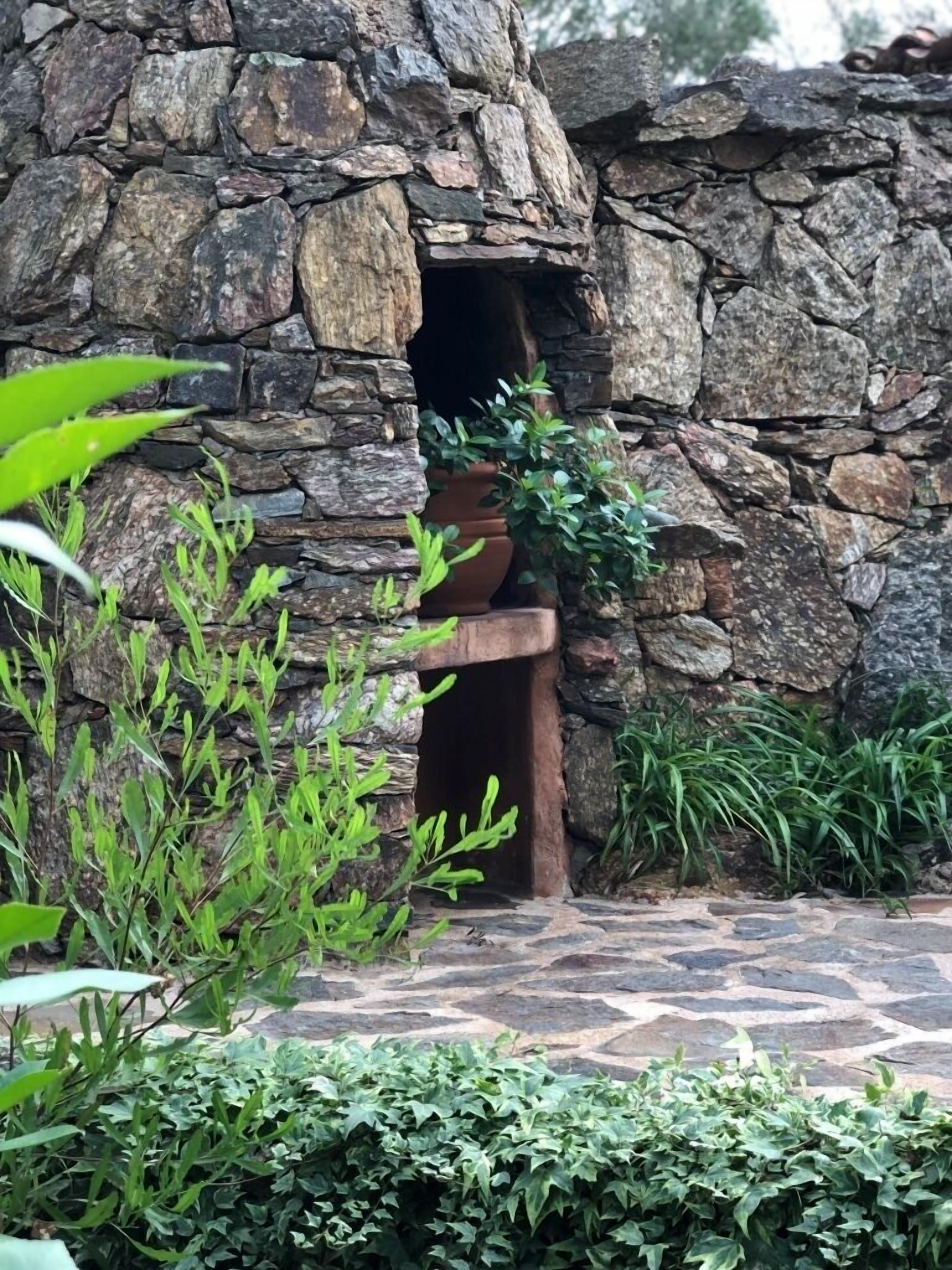 Les Oliviers de Palombaggia