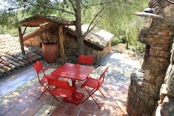 Les Oliviers de Palombaggia