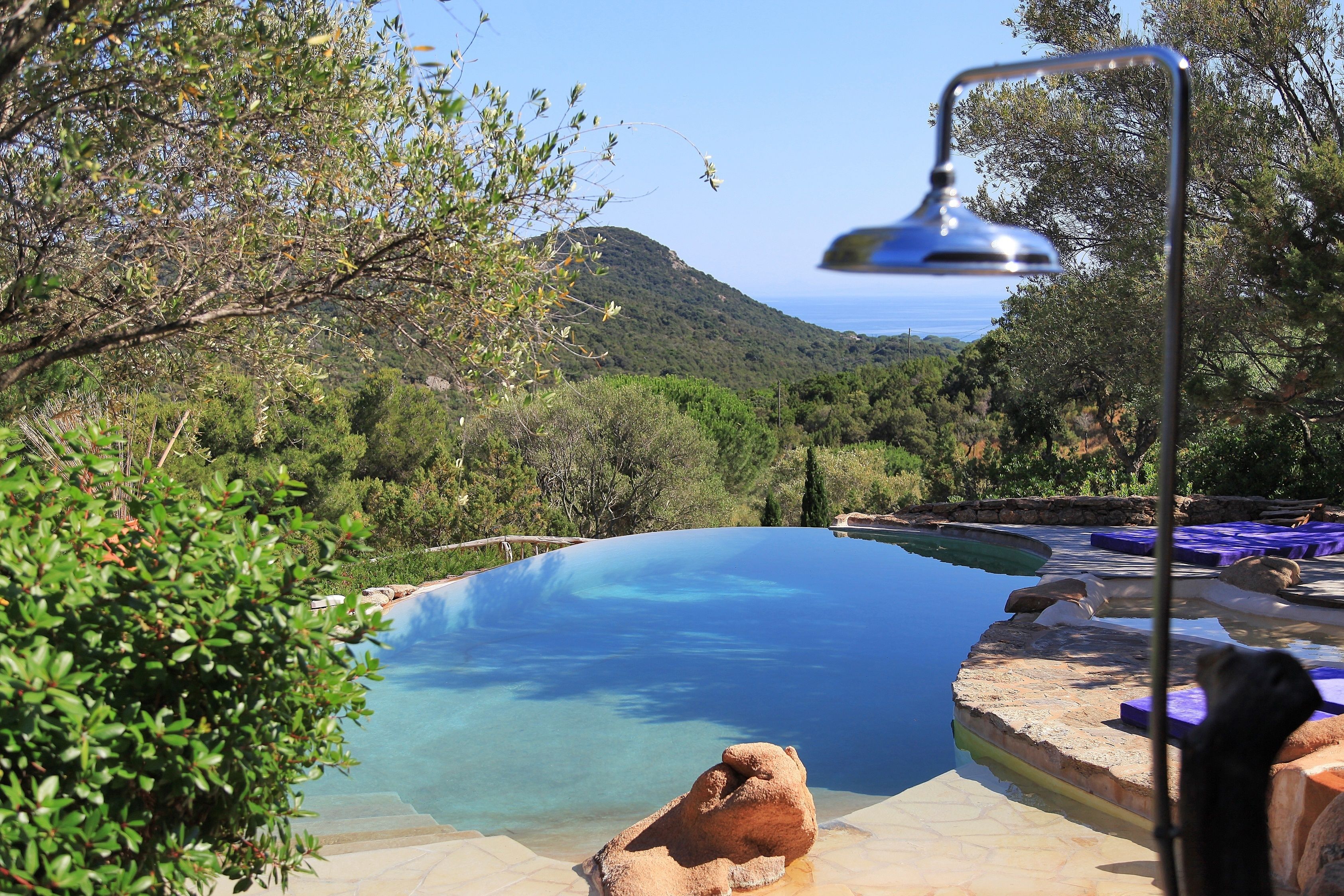 Les Oliviers de Palombaggia