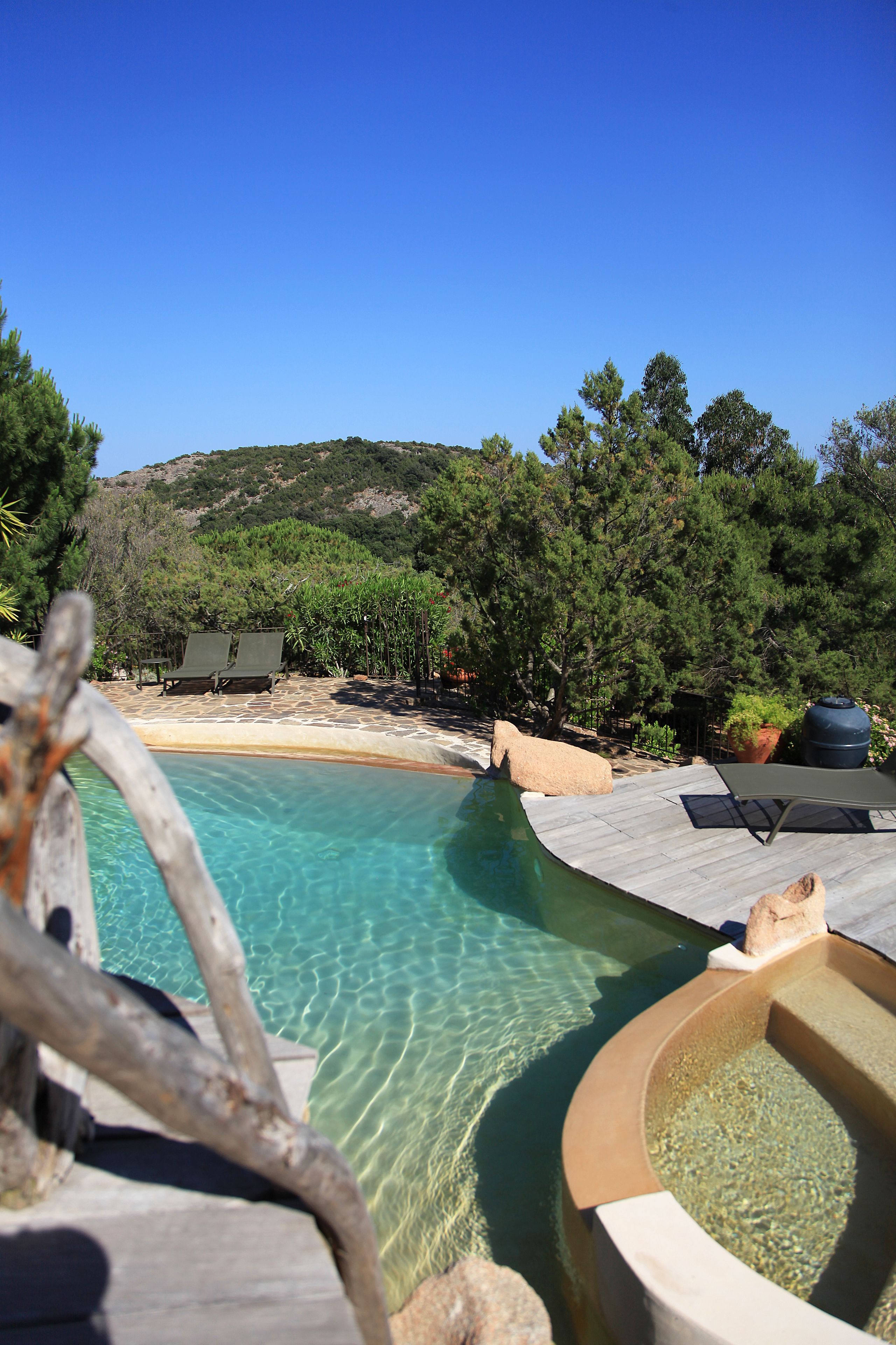 Les Oliviers de Palombaggia