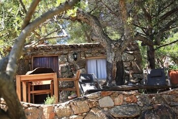 Les Oliviers de Palombaggia