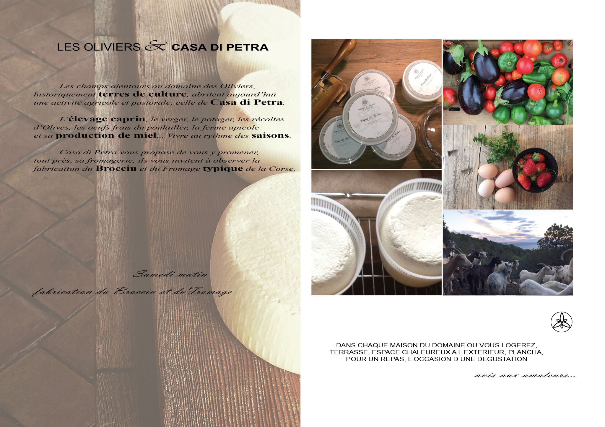 Les Oliviers de Palombaggia