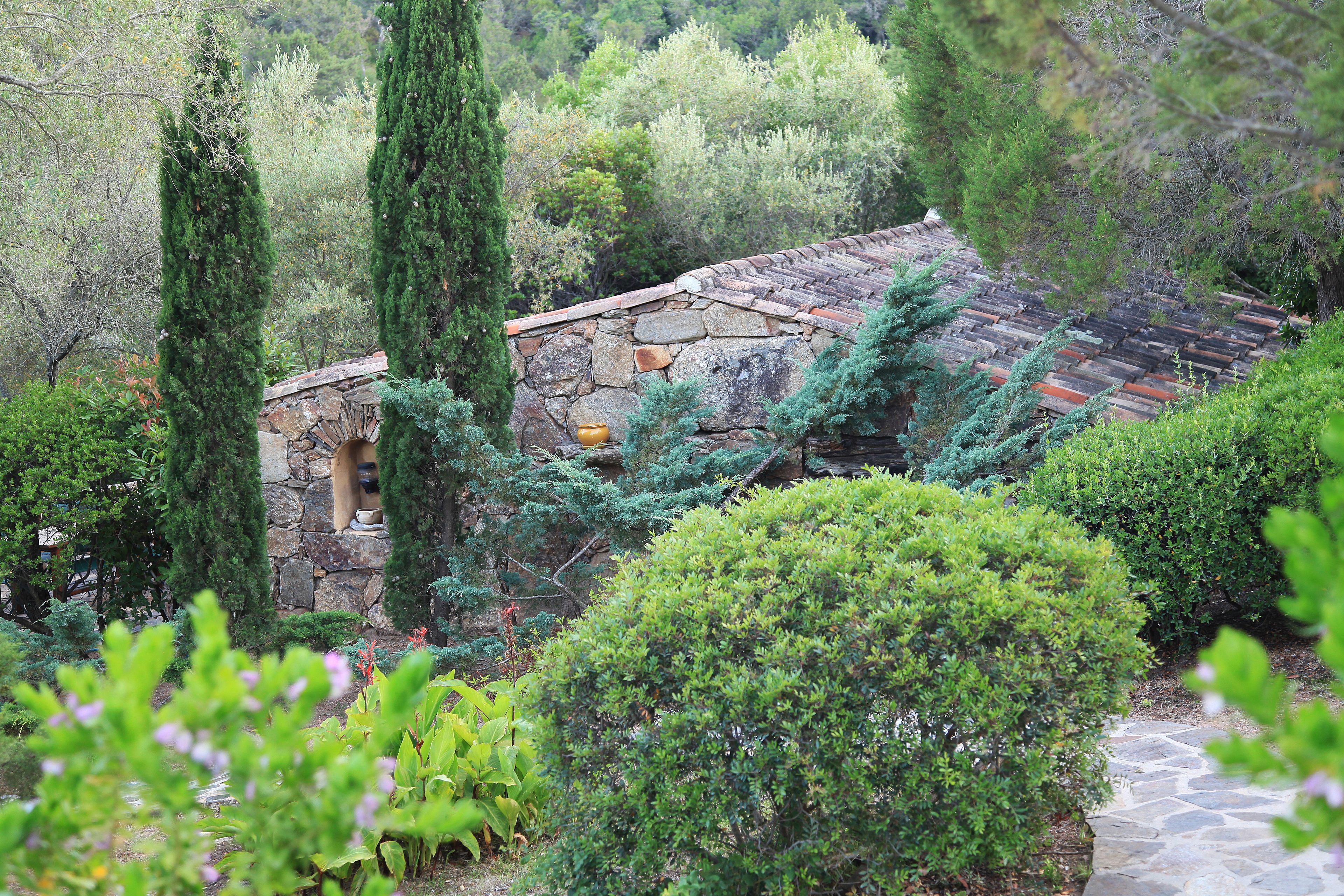 Les Oliviers de Palombaggia