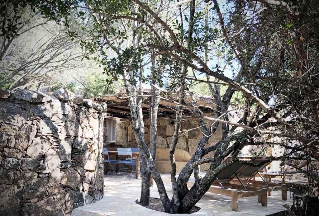 Les Oliviers de Palombaggia