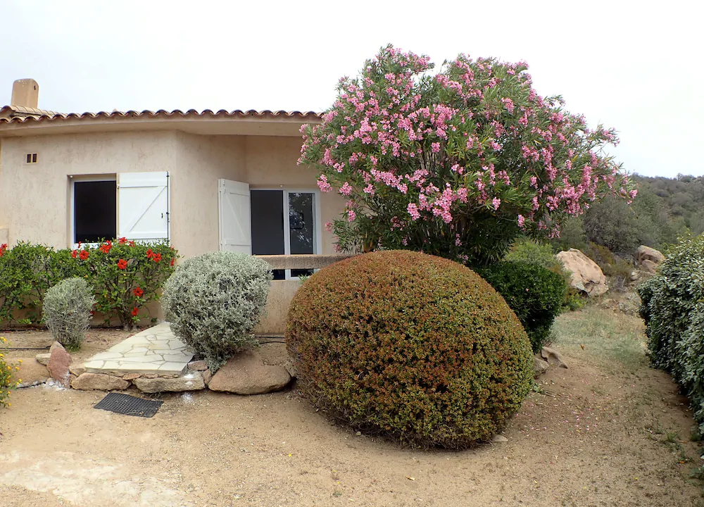 Residence Liccia Di Furu