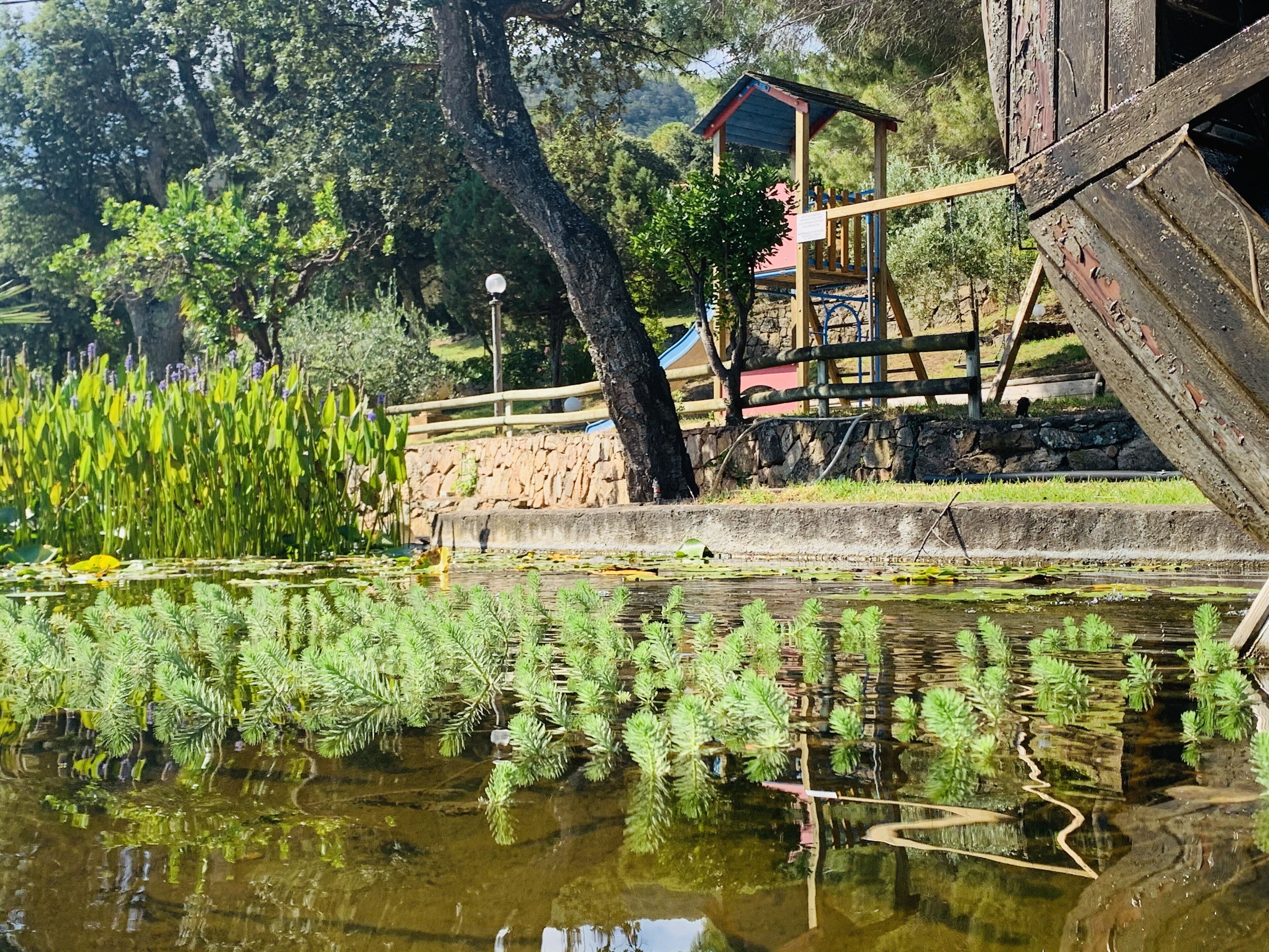 Résidence U Pirellu
