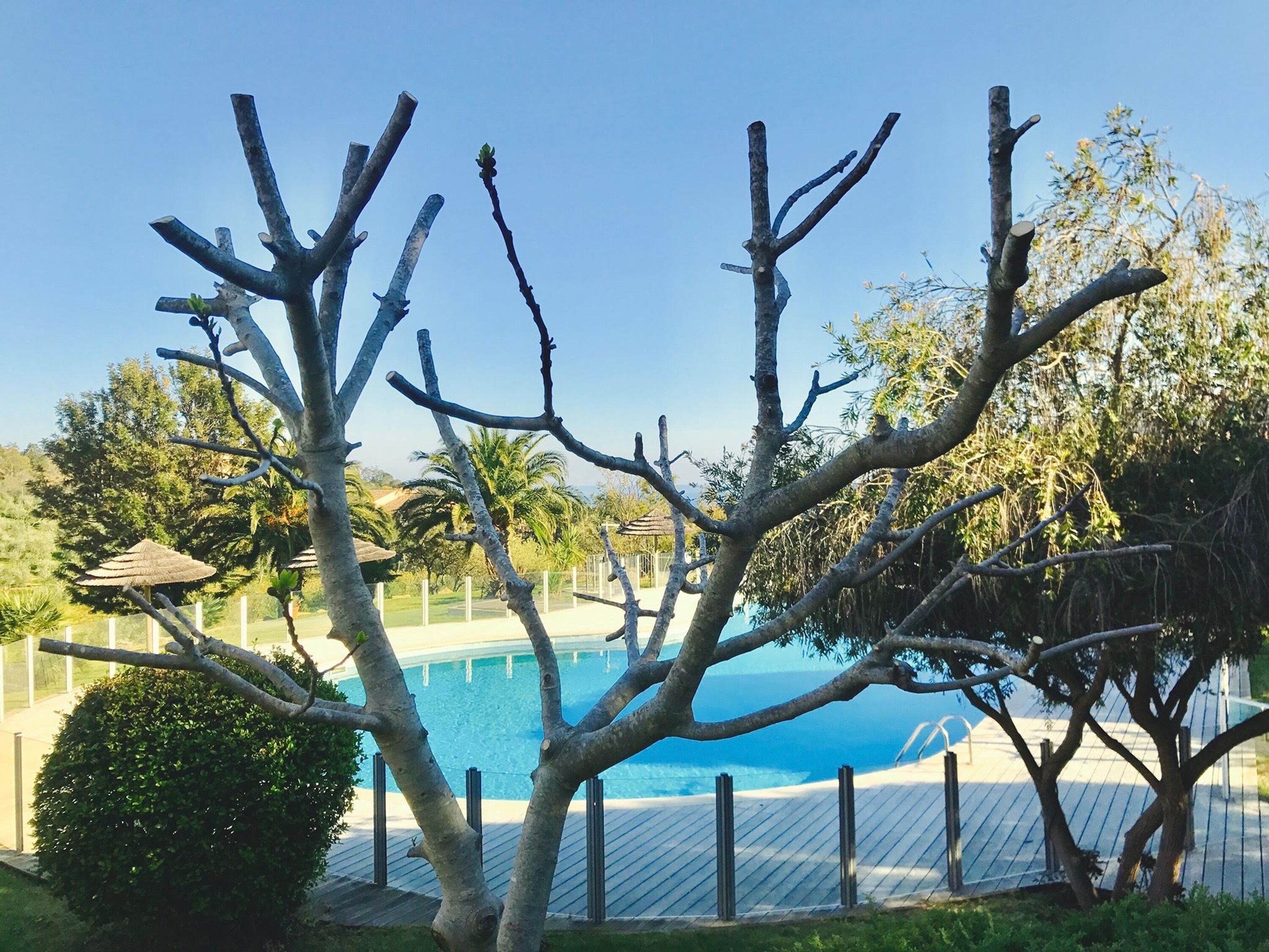 Domaine Santa Giulia Palace