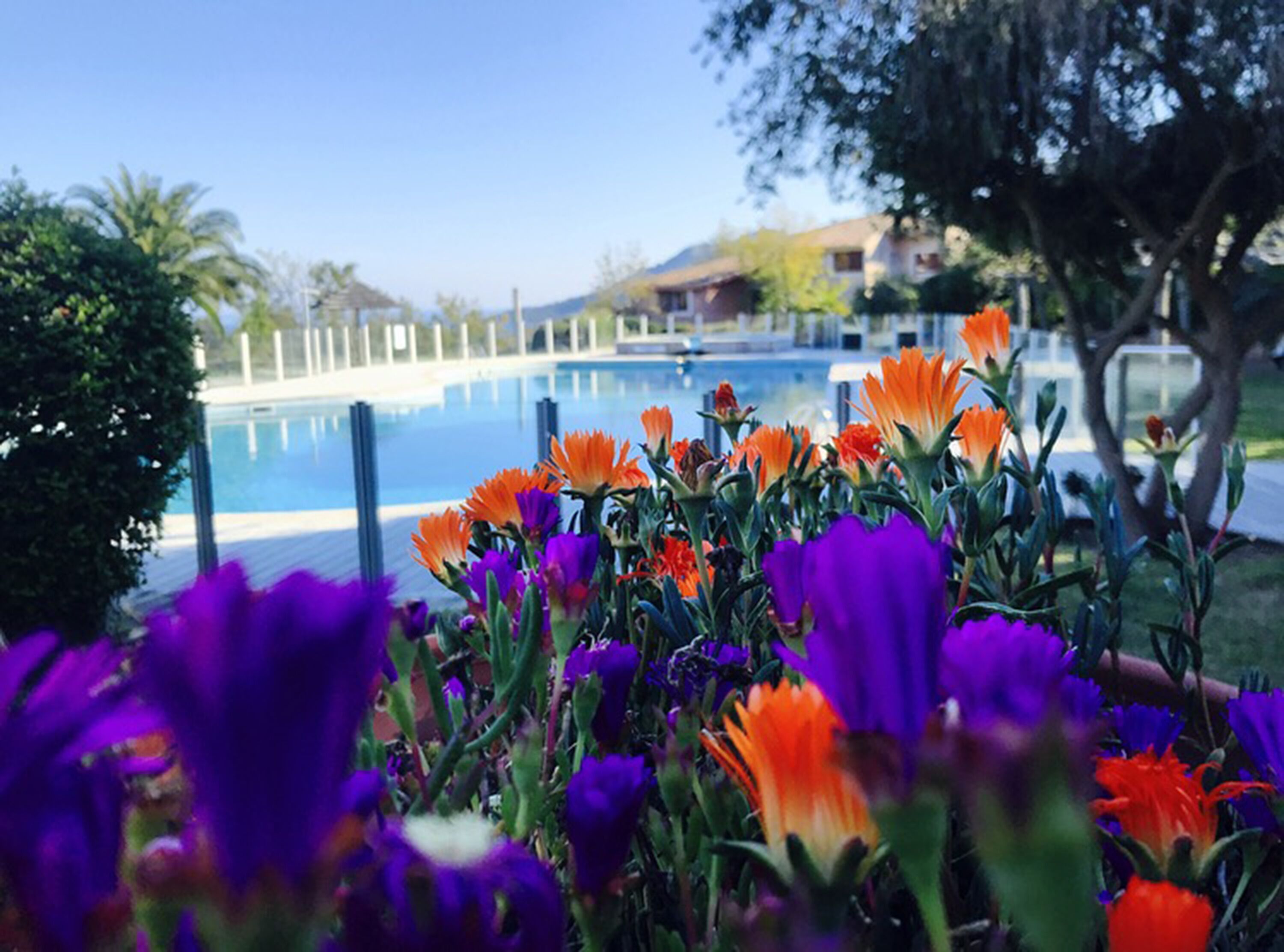 Domaine Santa Giulia Palace