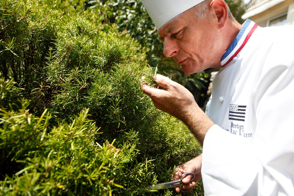 Hôtel Marinca & Spa