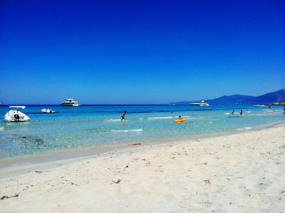 Adonis Saint-Florent