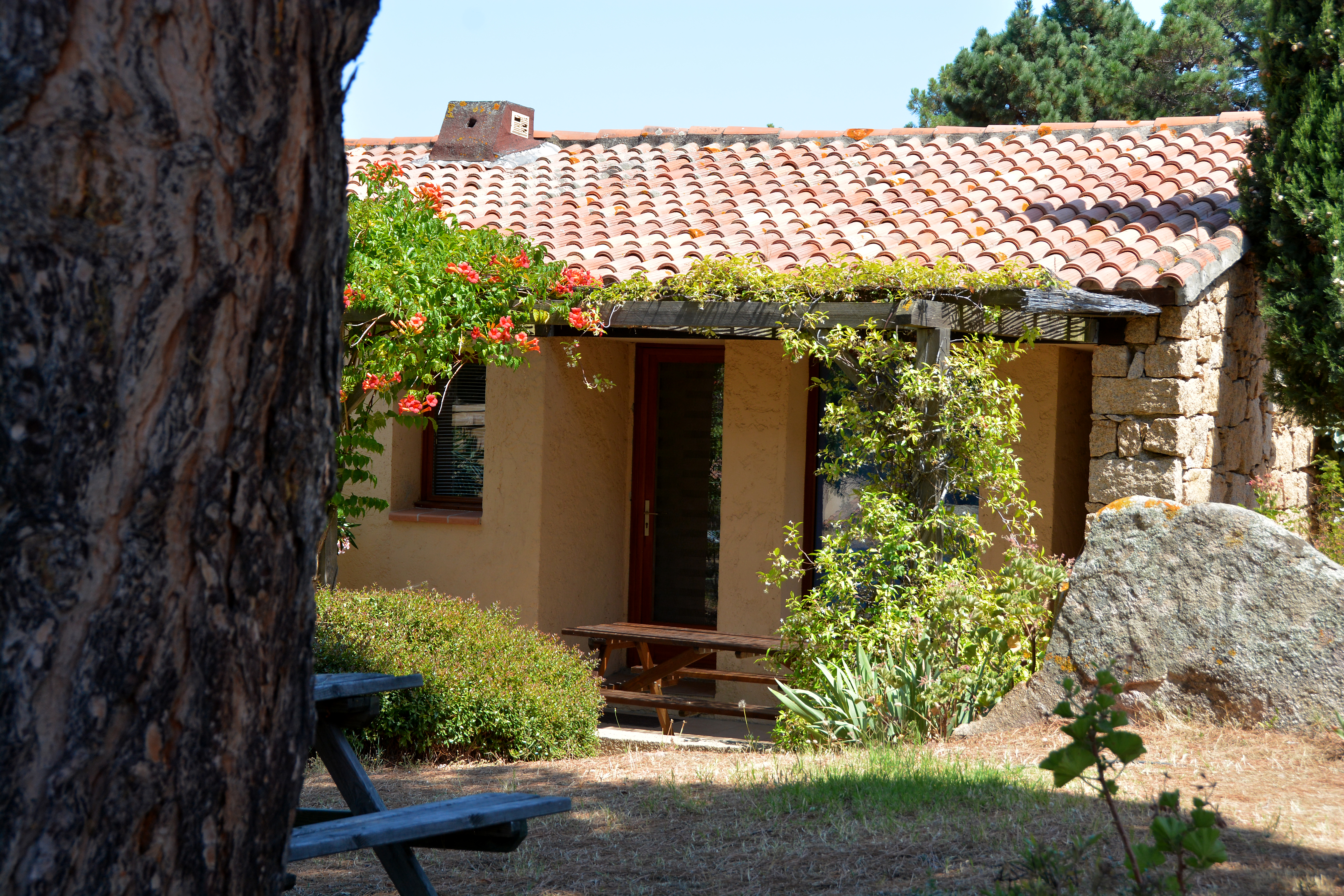 Residence Alba Rossa