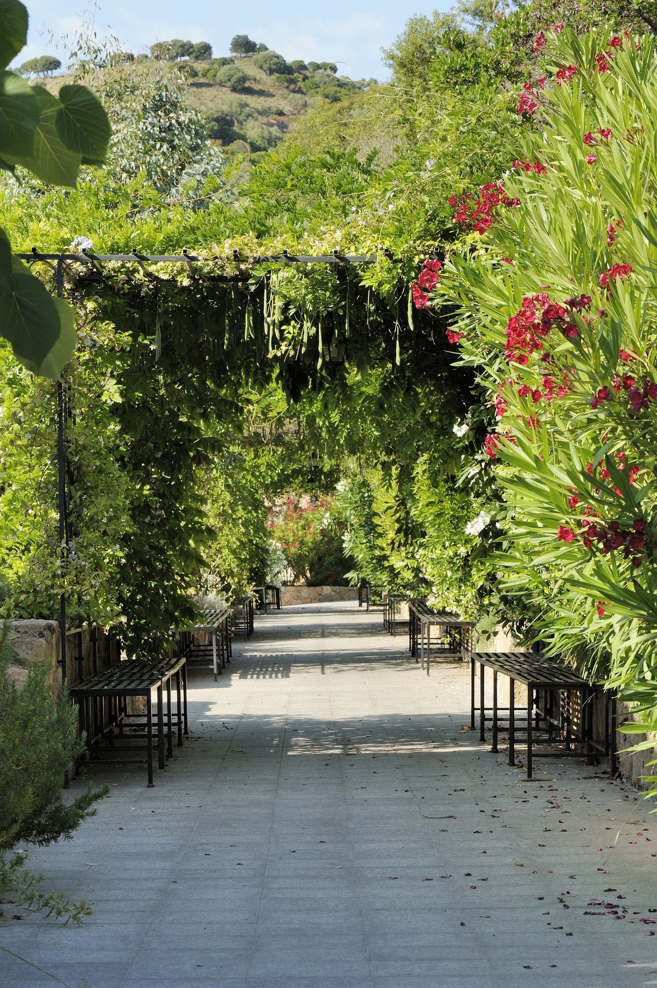 Domaine Codaleone