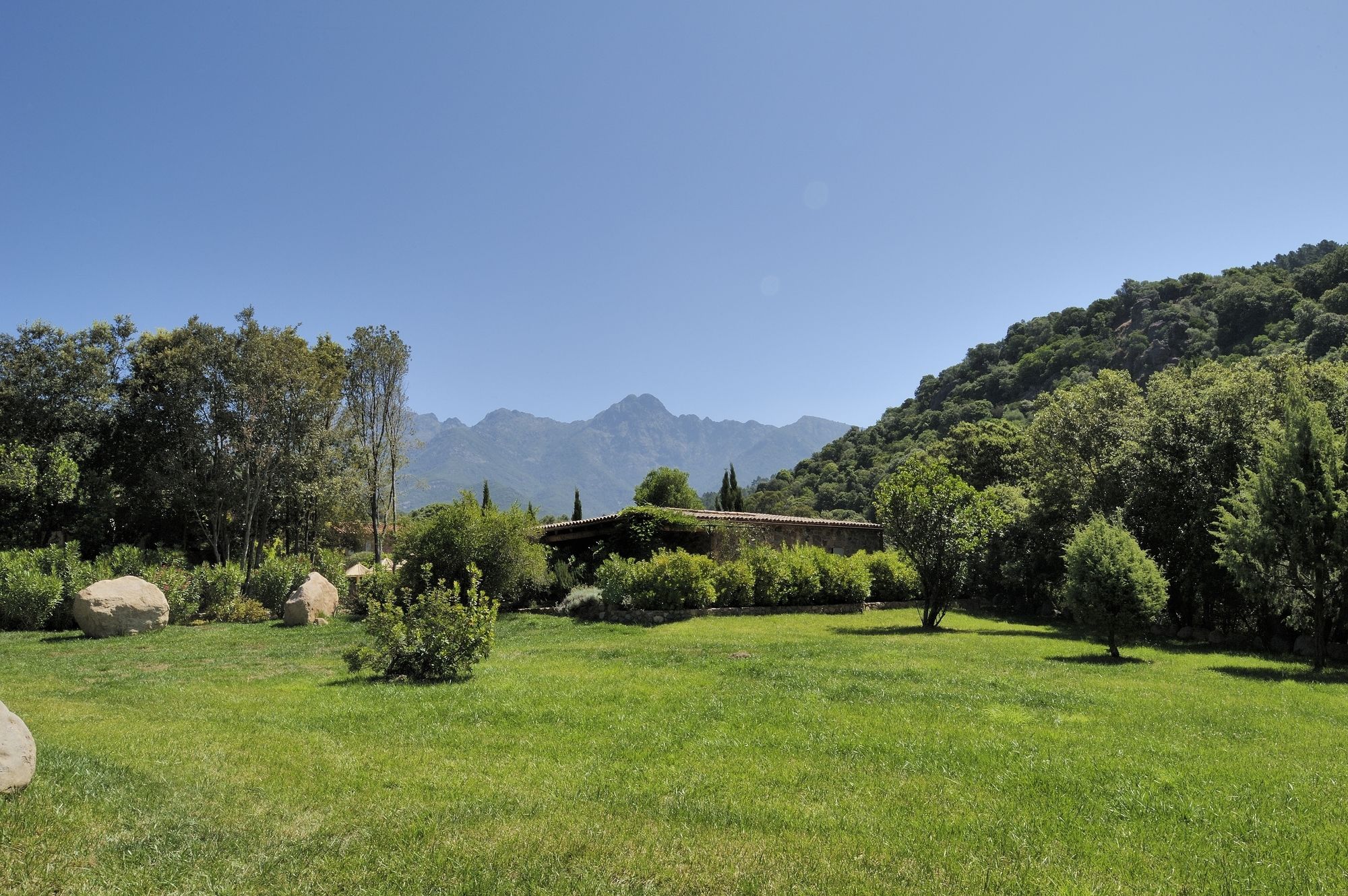 Domaine Codaleone