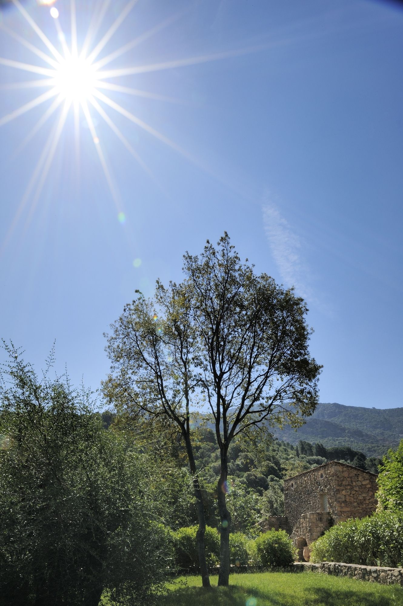 Domaine Codaleone