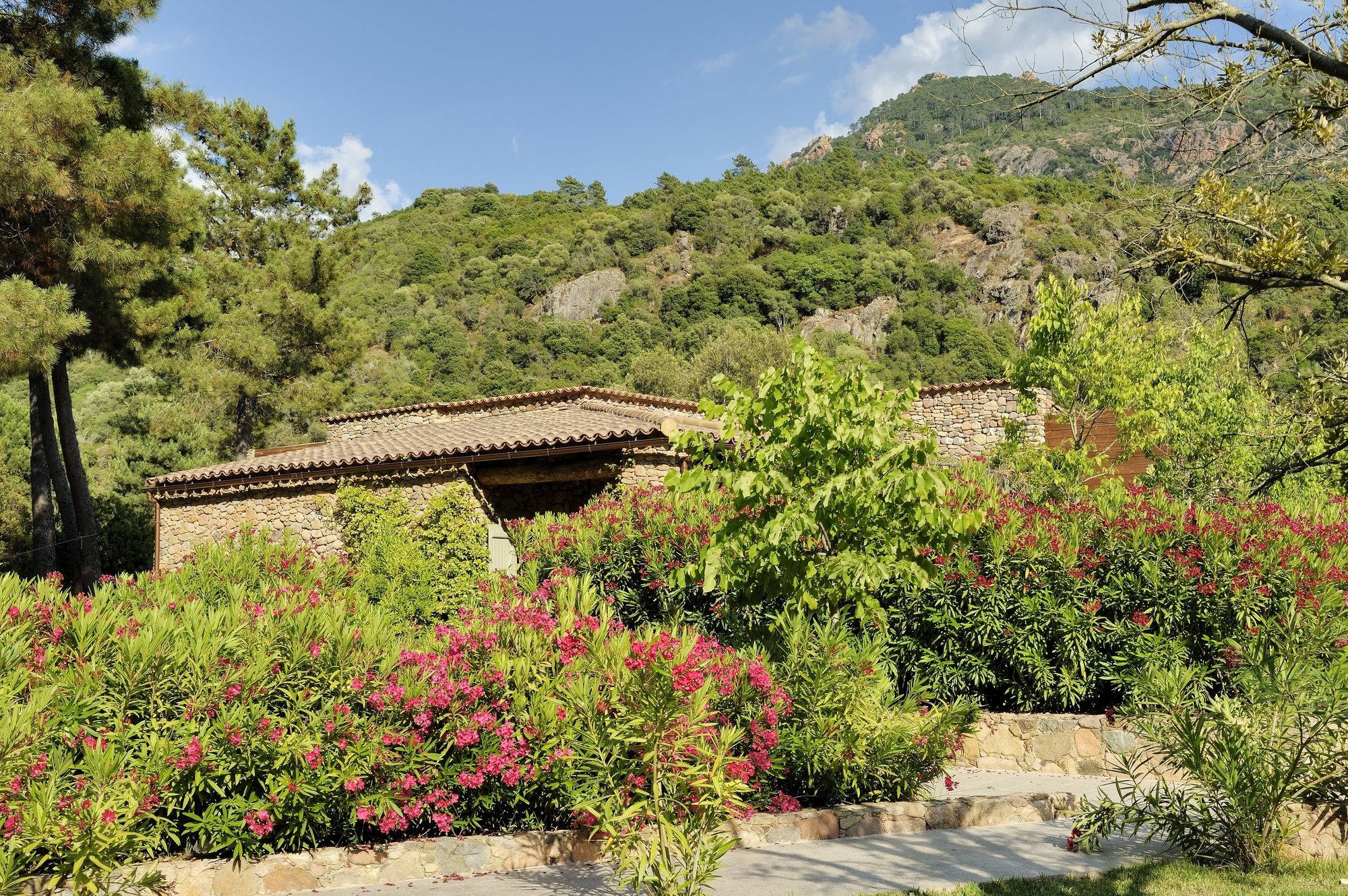 Domaine Codaleone