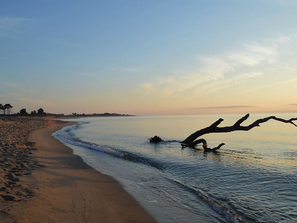 Village Del Mar