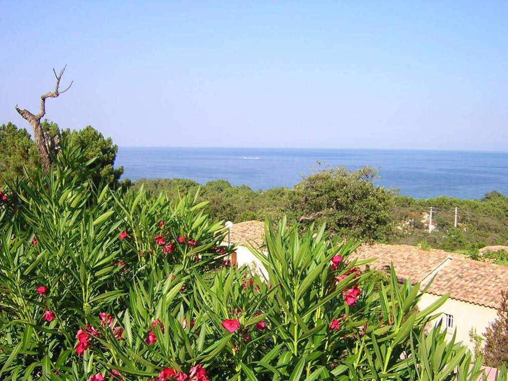Mare e Monte