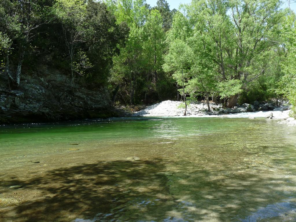 Hotel E Caselle by Light Human Hotels