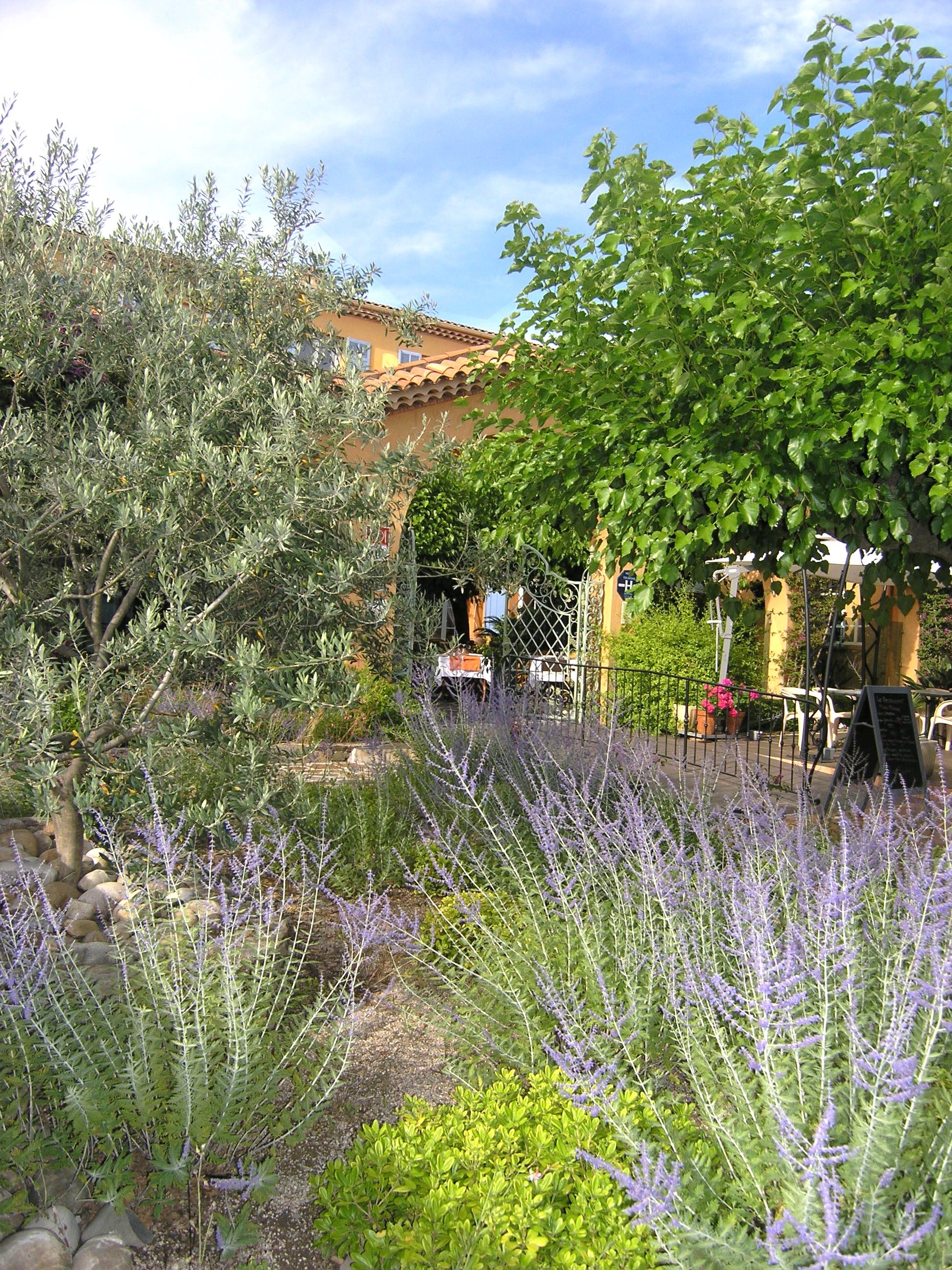 Le Provençal