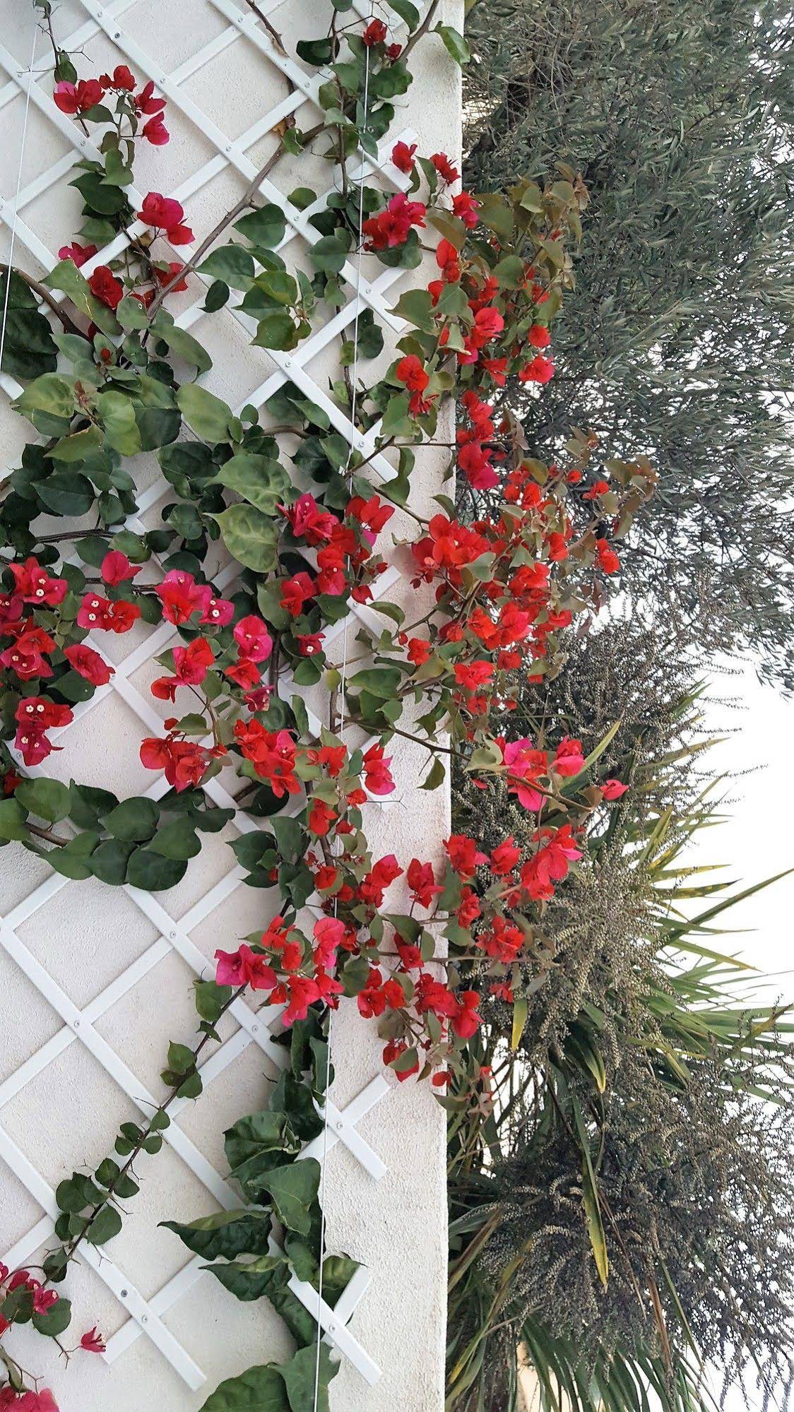 Auberge du Chardon Bleu