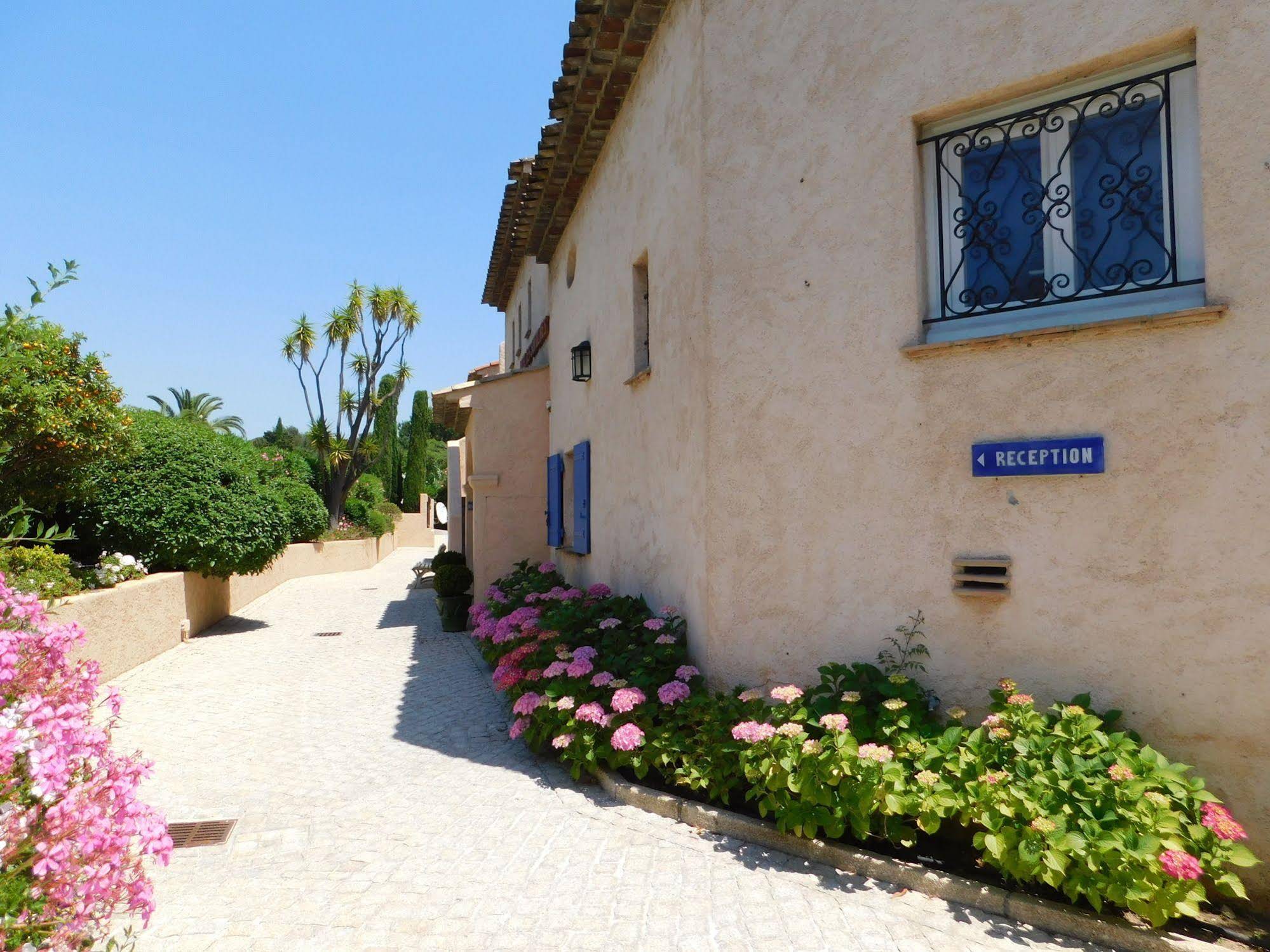 Les Santolines